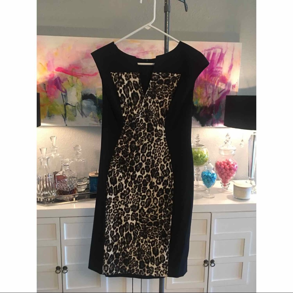 Black and Leopard Print Career Dress by Dressbarn